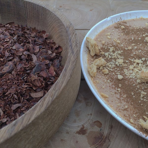 Cocoa pod husk panna cotta.jpg