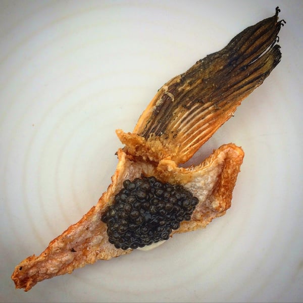 Flying Caviar.jpg