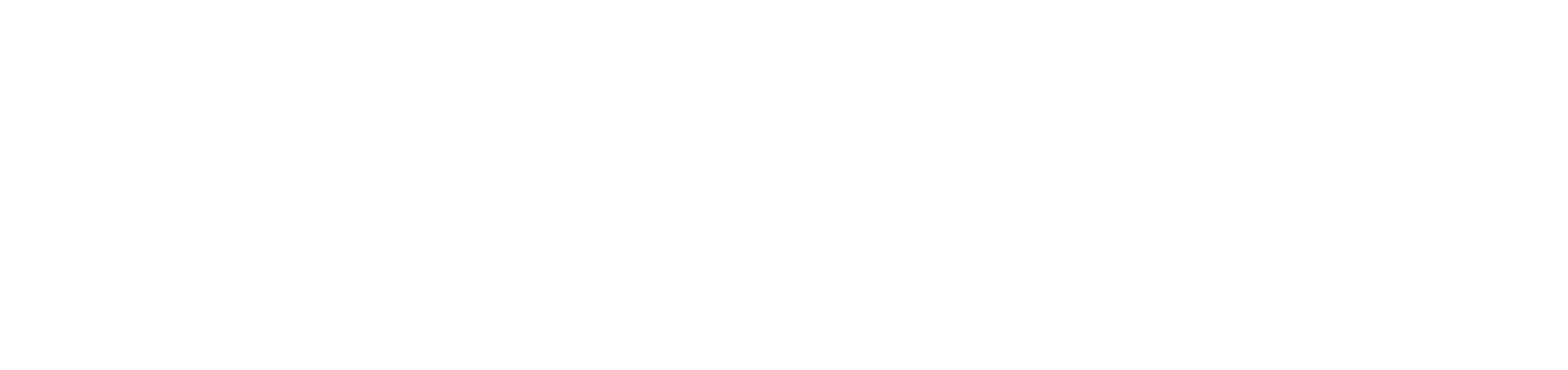 FLSN_LOGO_orizz_bianco