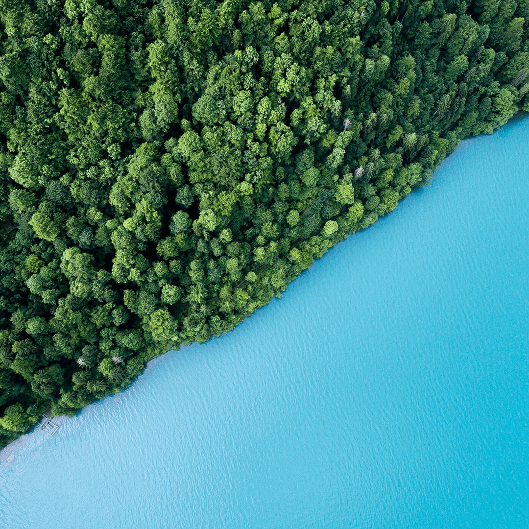 Aerial image of an island