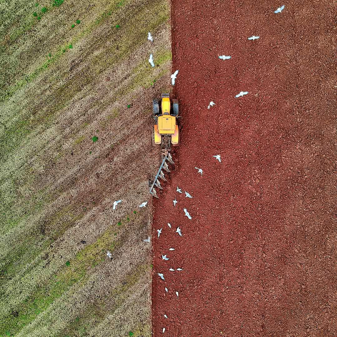 Tractor amarillo sembrando un campo