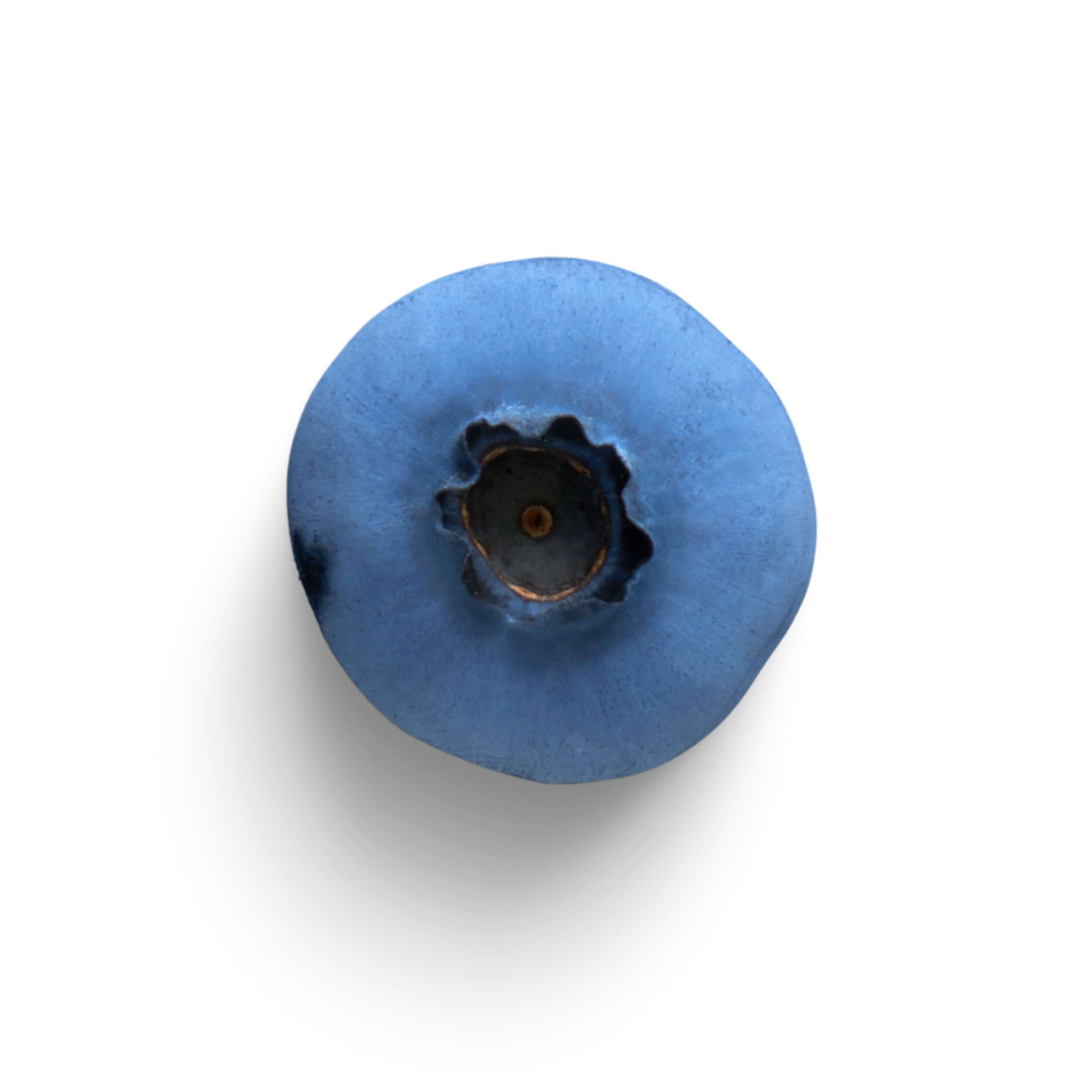 Fresh blueberry - Winnow food waste AI