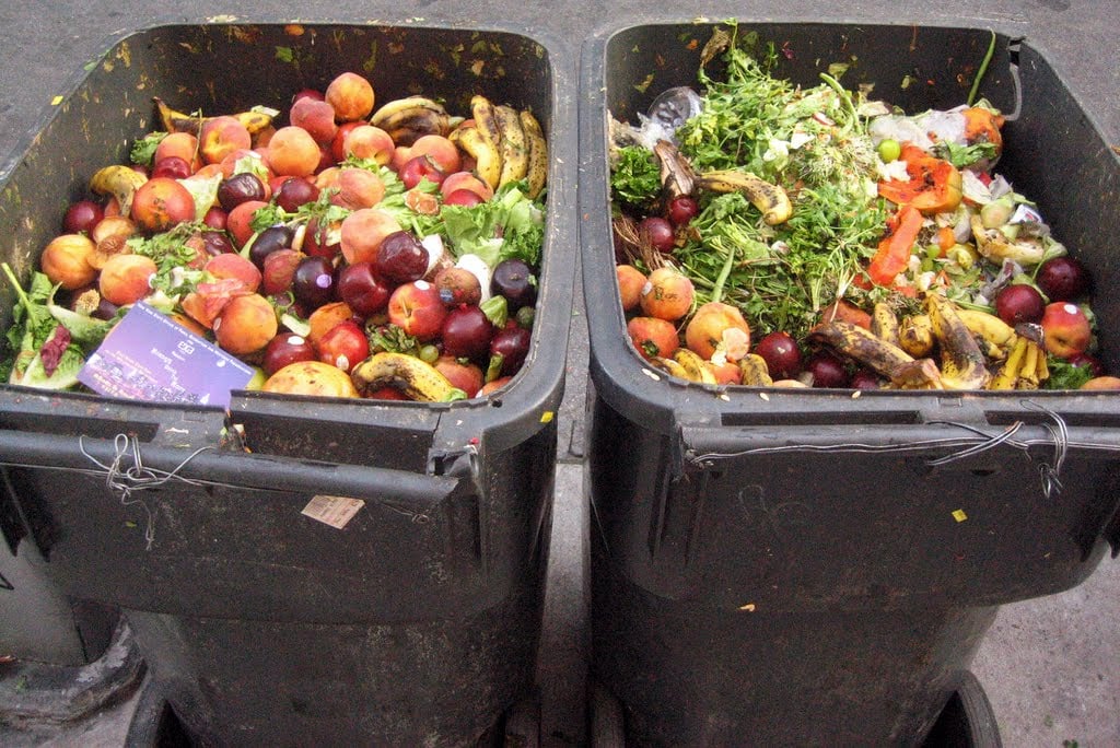 food in bins