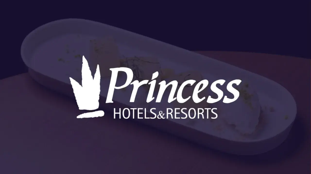 Hotel Barcelona Princess case study thumbnail
