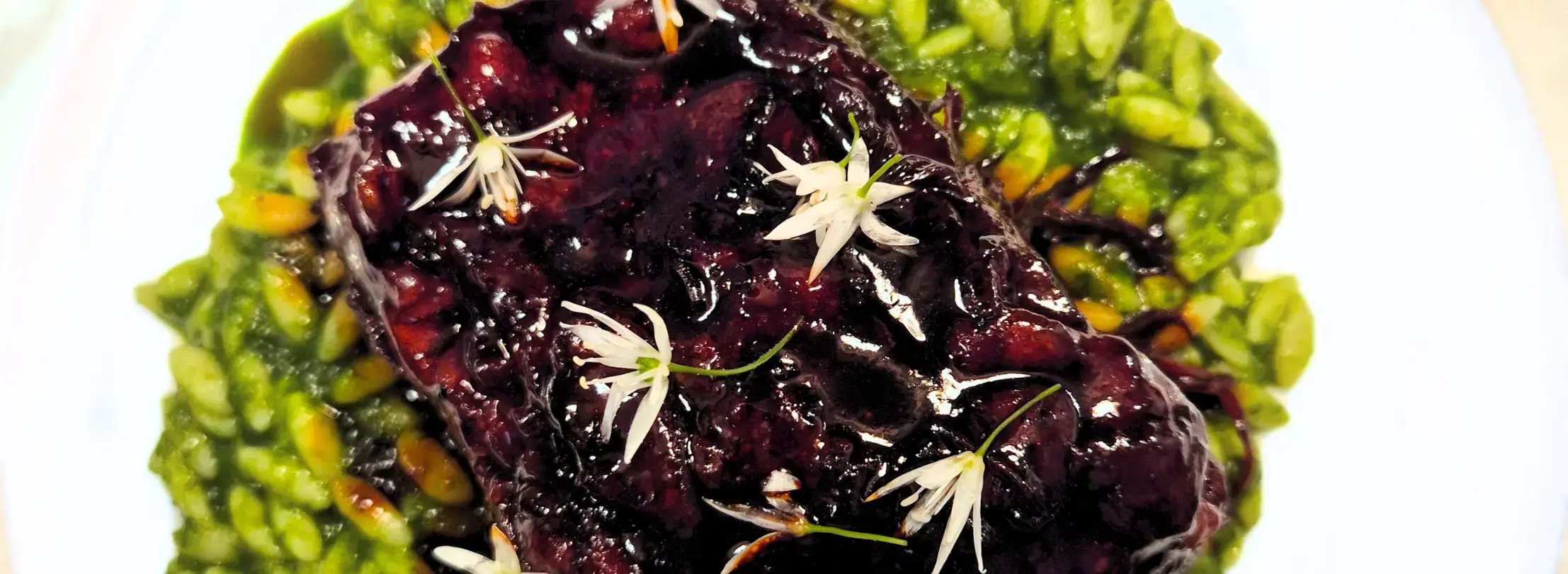 Website Case Study Page Banner (4)