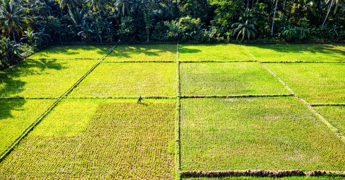Reducing food waste for world food day