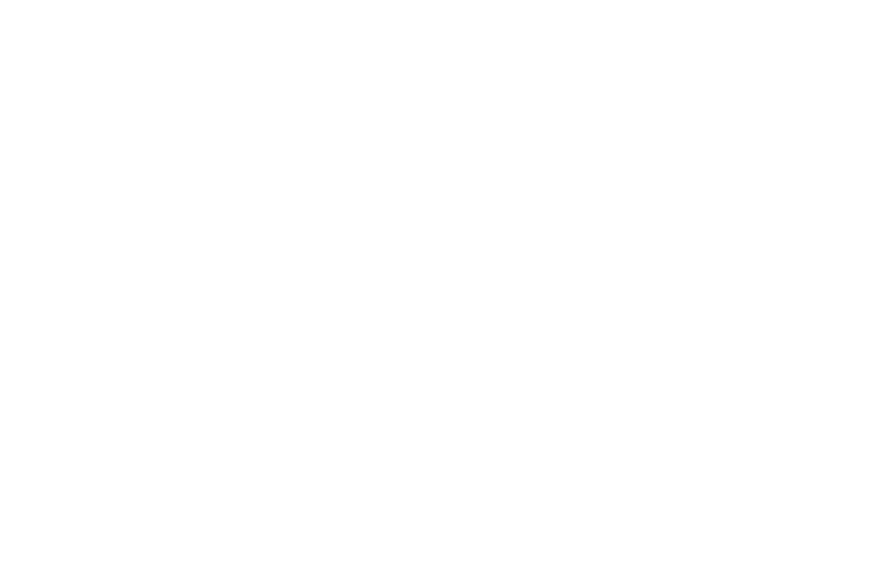 Mandarin Oriental Logo white