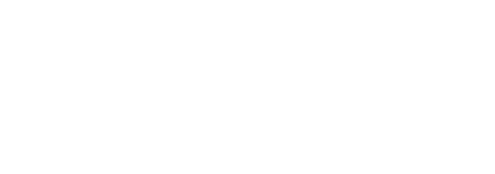 dana logo white