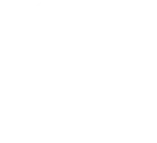 Asset 98@4x