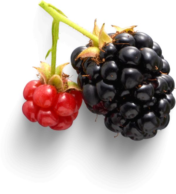 Fresh produce
