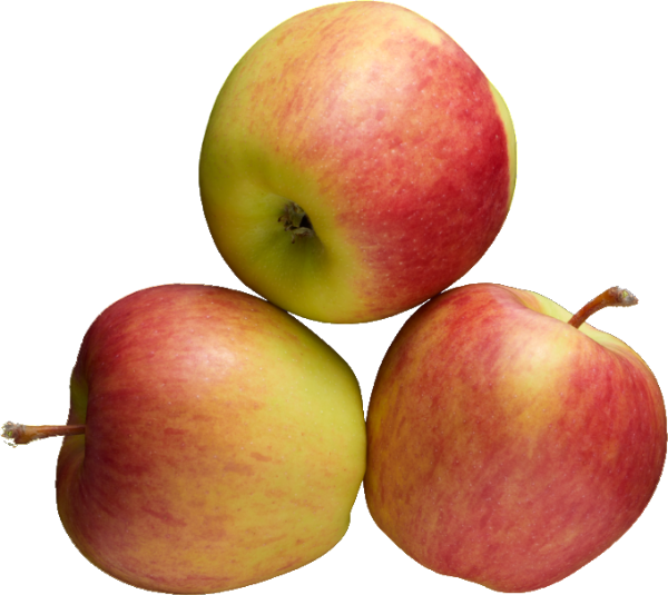 Apples